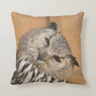 Bubo bubo sibiricus kudde