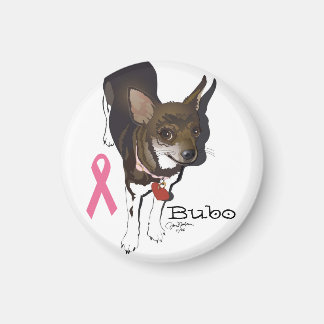 Bubo, chihuahua magnet