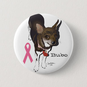 Bubo chihuahuaen knapp