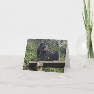 Bubu avokado Notecard Kort