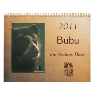 Bubu-kalender 2011 kalender