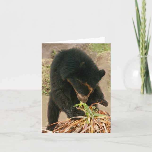 Bubu Notecard PB1 Kort (Framsida)