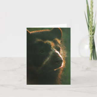 Bubu Notecard PB2 Kort