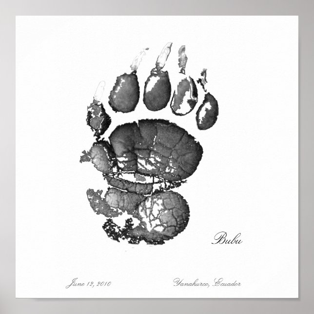 Bubu Pawprint Poster (Framsidan)