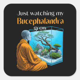 Bucephalandra Zen – A Meditative Aquascaping Fyrkantigt Klistermärke