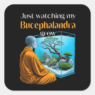 Bucephalandra Zen – A Meditative Aquascaping Fyrkantigt Klistermärke