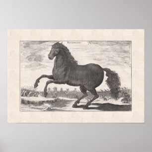 Bucephalus, Alexander Underbarens favorithäst Poster