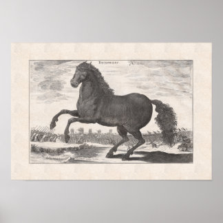 Bucephalus, Alexander Underbarens favorithäst Poster