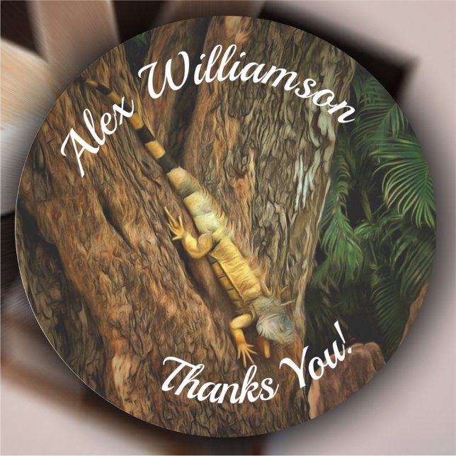 Bucerias Iguana Tack 1069 Runt Klistermärke (Skapare uppladdad)