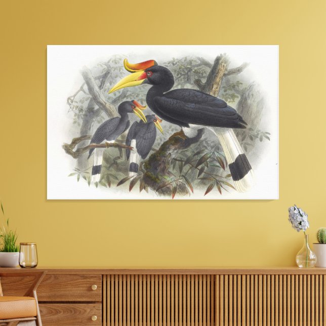 Buceros rhinoceros canvastryck (Insitu (Vardagsrum))