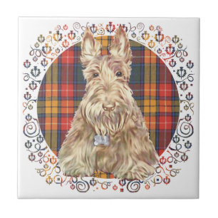 Buchanan Tartan Scottie Kakelplatta