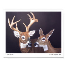 Buck and Doe Hjort