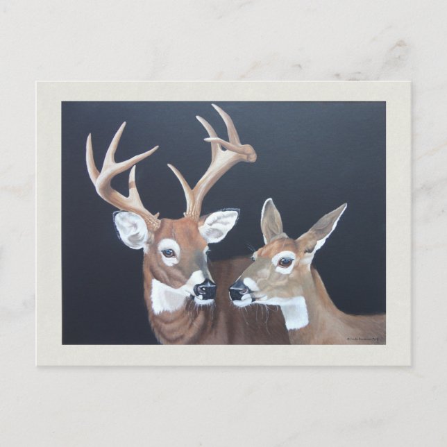 Buck and Doe Whitetail Hjort Painting Vykort (Framsida)