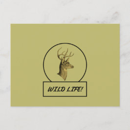 Buck Head Mörk Khaki vykort