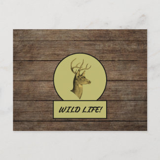 Buck Head Mörk Wood Postcard Vykort