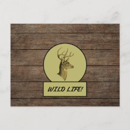 Buck Head Mörk Wood Postcard Vykort