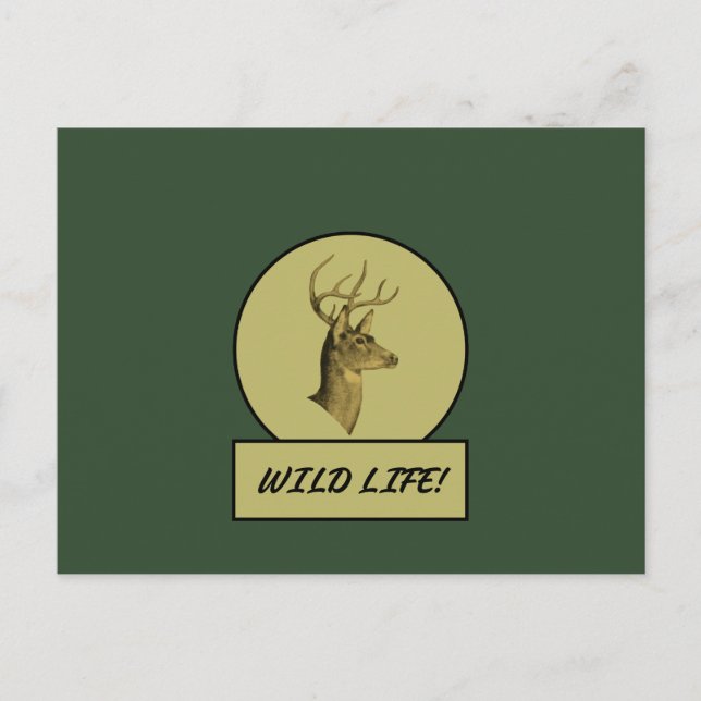 Buck Head Mörkgrön vykort (Framsida)