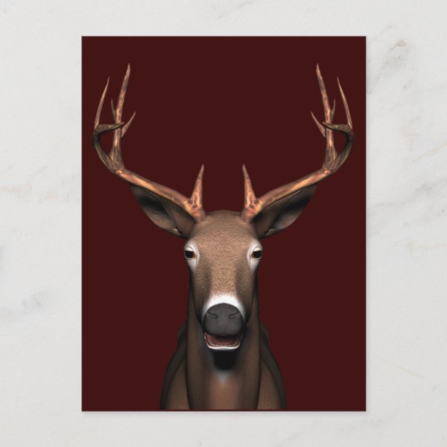 Buck Head Vykort (Framsida)