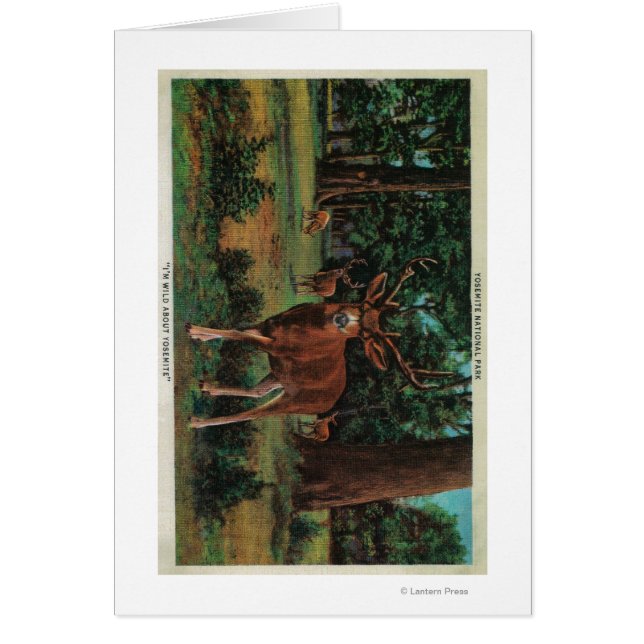 Buck Hjort i nationalparken Yosemite Hälsningskort (Framsidan)