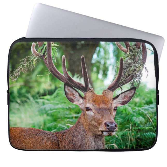 Buck Hjort Laptop sleeve (Framsidan)