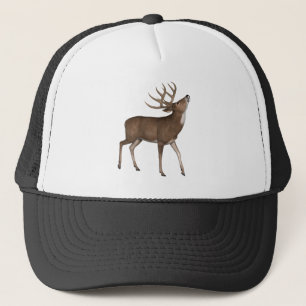 Buck Hjort Stag Wildlife Animal Nature Antlers Keps