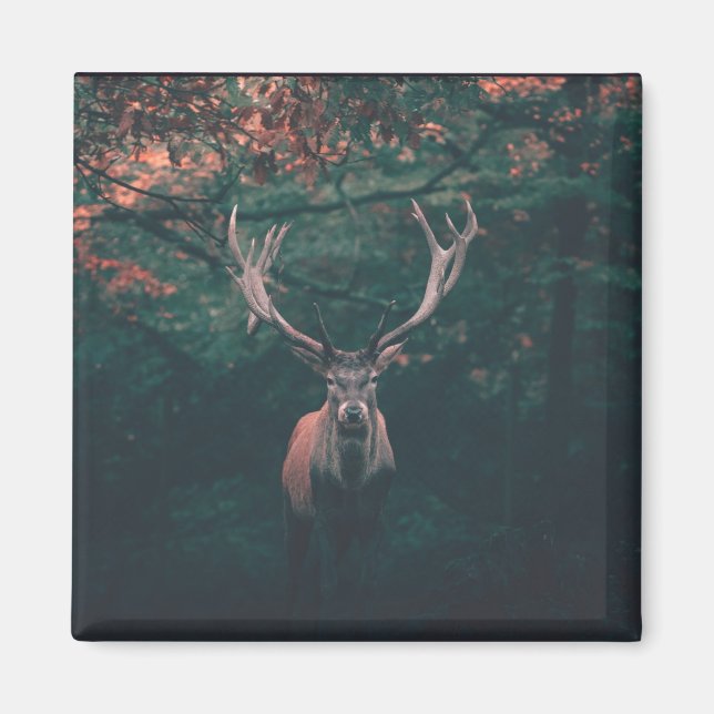 Buck Hjort Vild Animal Magnet (Framsidan)