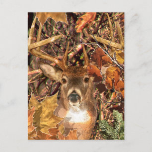 Buck i Camo White Svan Hjort Vykort