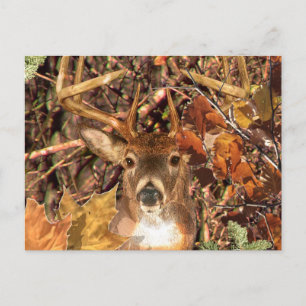 Buck i Hunter Camo White Svan Hjort Vykort