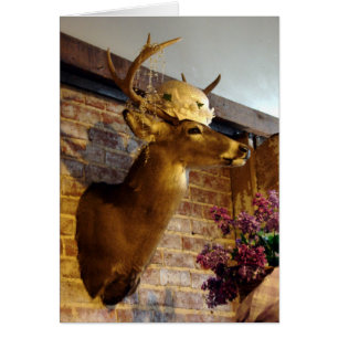 Buck in A Hat Hälsningskort