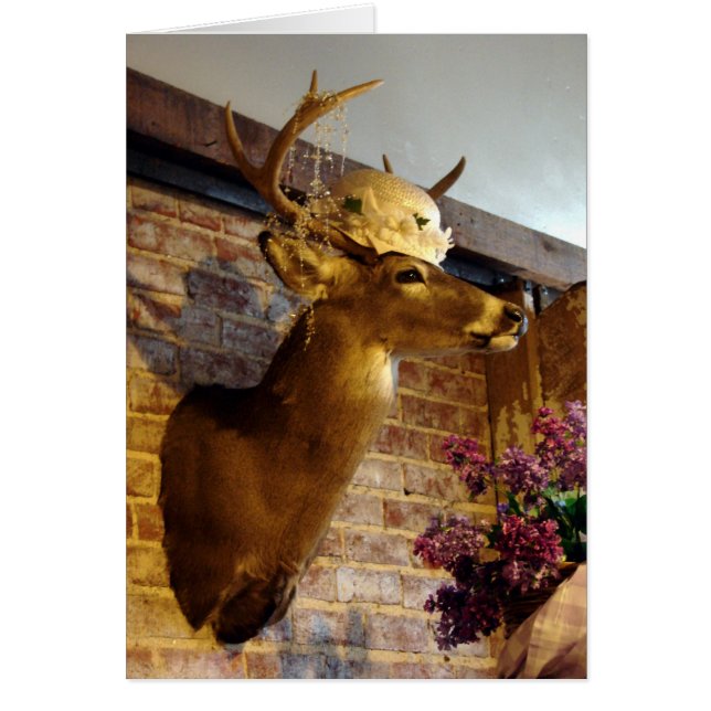 Buck in A Hat Hälsningskort (Framsidan)