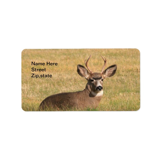 Buck in Grass Address Label Adressetikett (Framsidan)