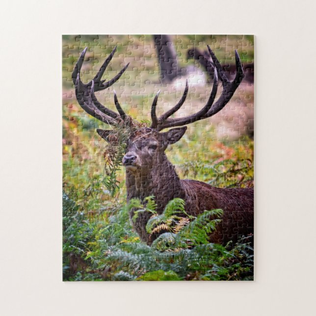 Buck in Richmond Park - 11x14 - 252 biet Pussel (Vertikal)