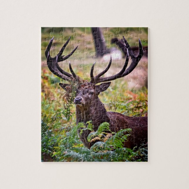 Buck in Richmond Park - 8x10 - 110 delar Pussel (Vertikal)