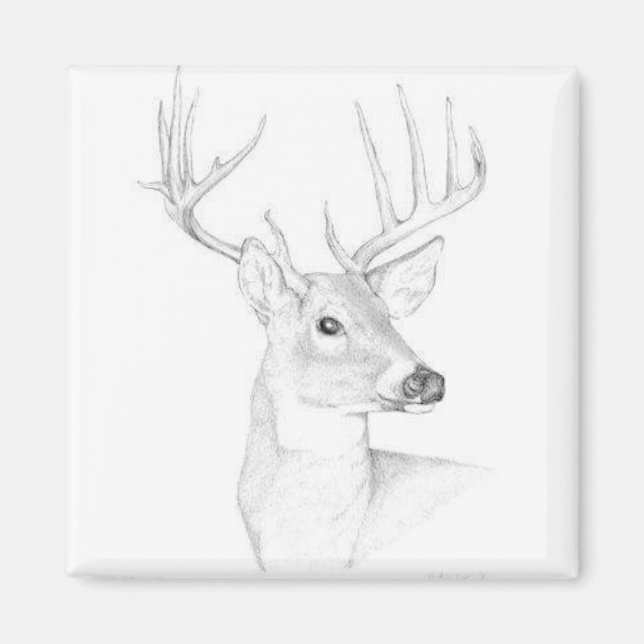 Buck Magnet (Framsidan)