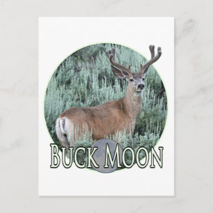Buck måne vykort