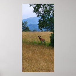 Buck som står i Fält Poster