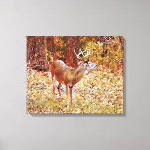 Buck Vild Hjort i Skogen Canvas Art Print
