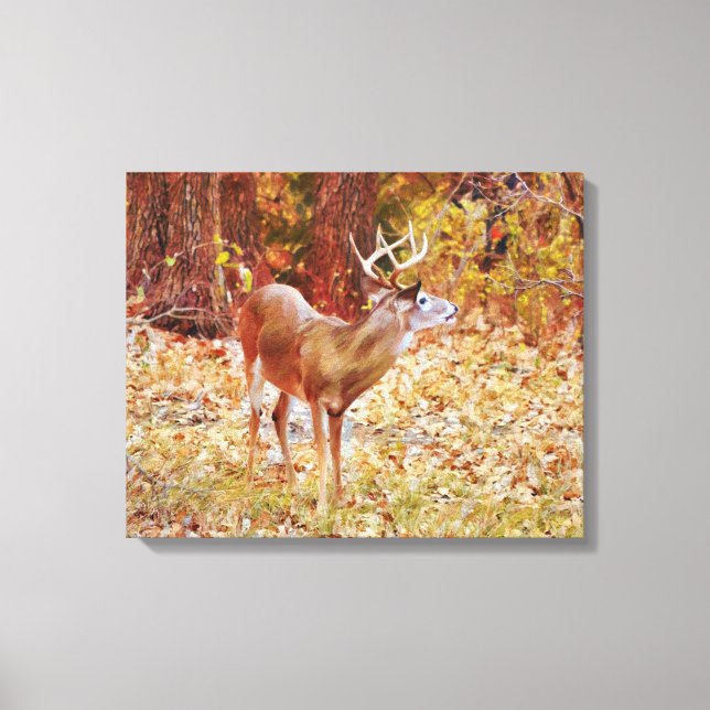 Buck Vild Hjort i Skogen Canvas Art Print (Framsida)