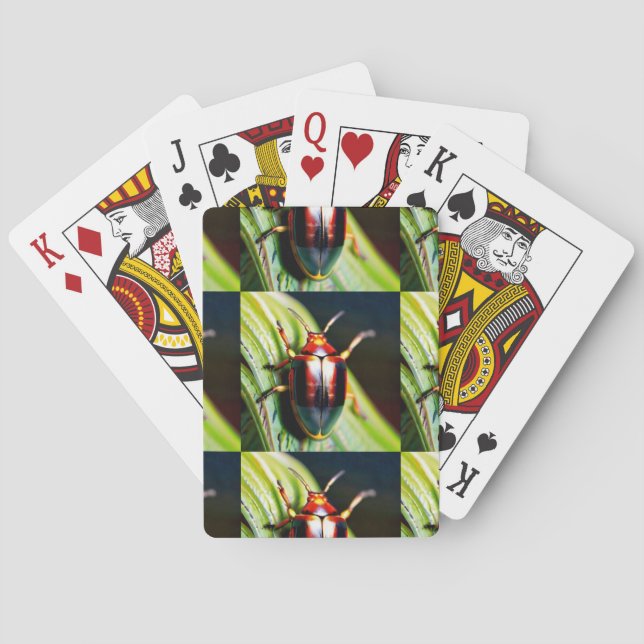 Buckad ut casinokort (Baksidan)