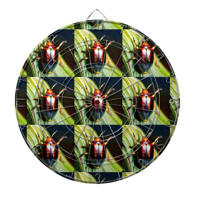 Buckad ut darttavla (Framsidan)