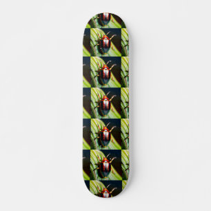 Buckad ut mini skateboard bräda 18,5 cm