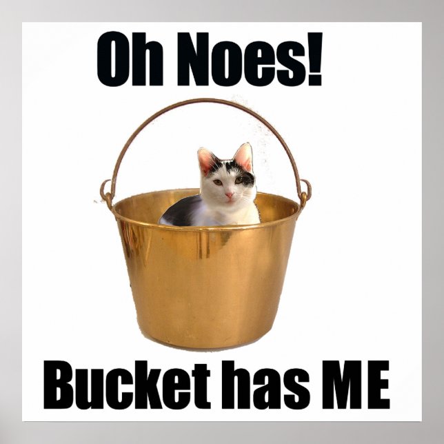 Bucket Cat Poster (Framsidan)