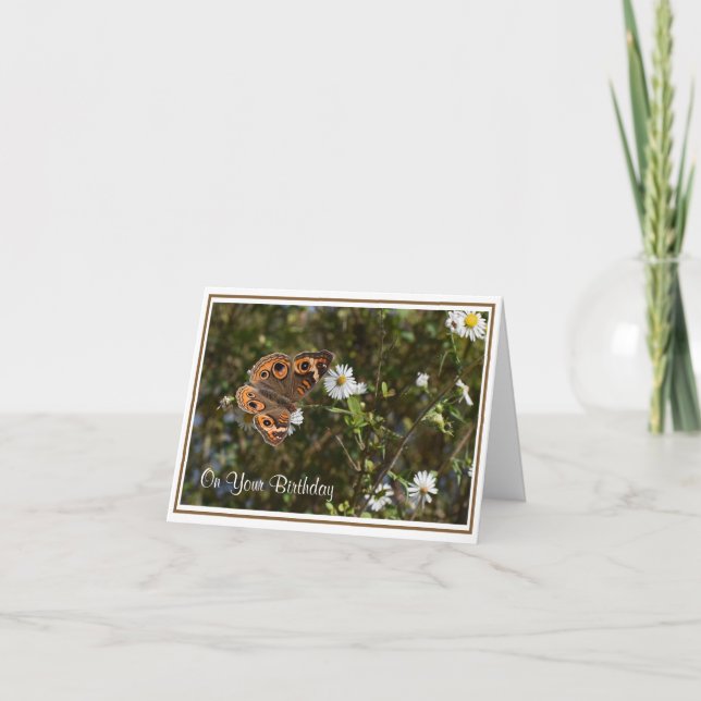 Buckeye Butterfly Birthday-hälsningskort Kort (Framsida)
