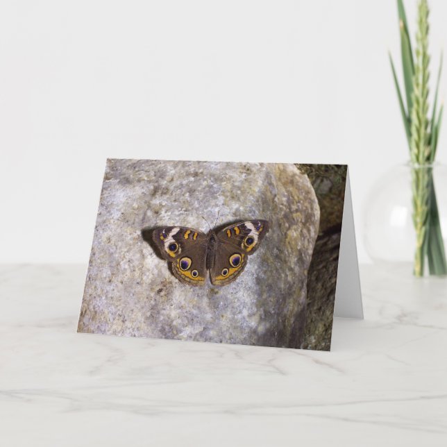 Buckeye Butterfly Card Kort (Framsida)
