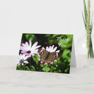 Buckeye Butterfly från lila Tack Kort