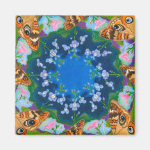 Buckeye Butterfly-kylskåp, magnet