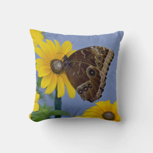 Buckeye Butterfly på Gultens Daisy Kudde