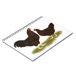 Buckeye Chickens Anteckningsbok Med Spiral