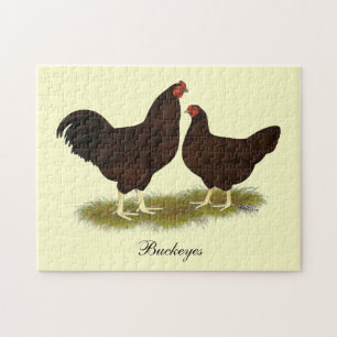 Buckeye Chickens Pussel