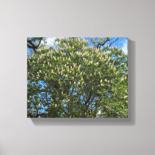Buckeye Himlar Canvastryck